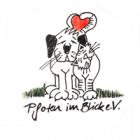 Pfoten im Blick